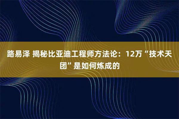 路易泽 揭秘比亚迪工程师方法论：12万“技术天团”是如何炼成的