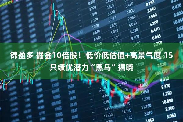 锦盈多 掘金10倍股！低价低估值+高景气度 15只绩优潜力“黑马”揭晓